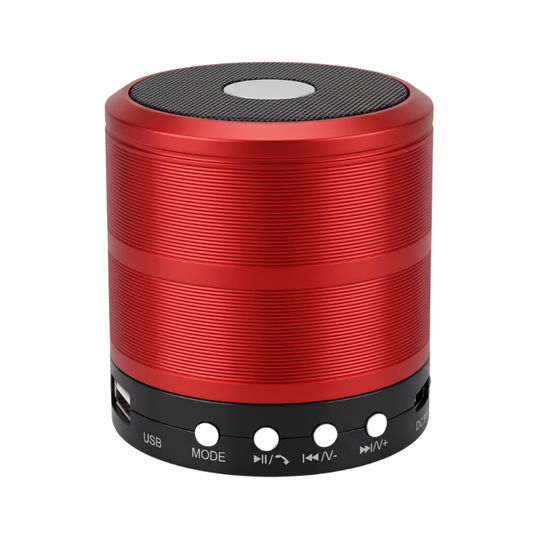 Mini Bluetooth Speaker WS-887